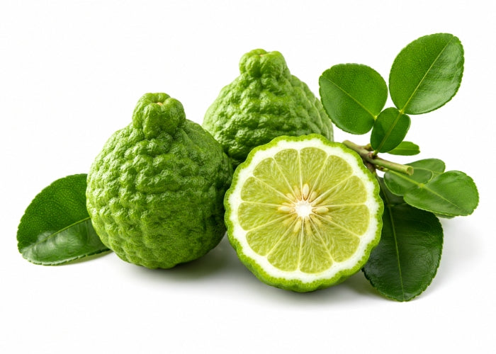 Bergamot Essential Oil