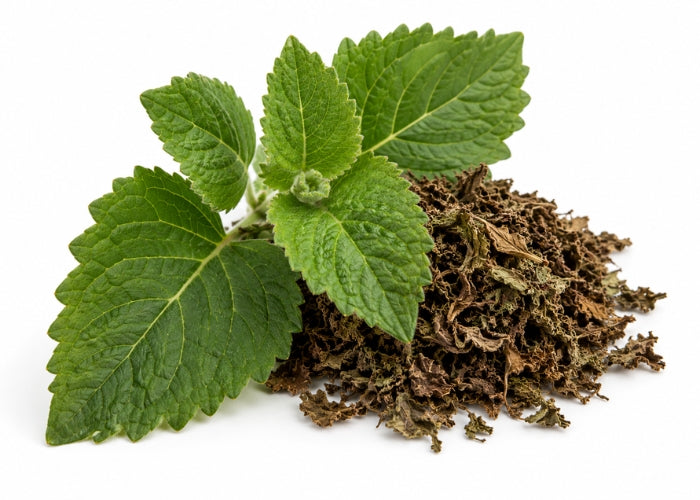 Patchouli Essential oil