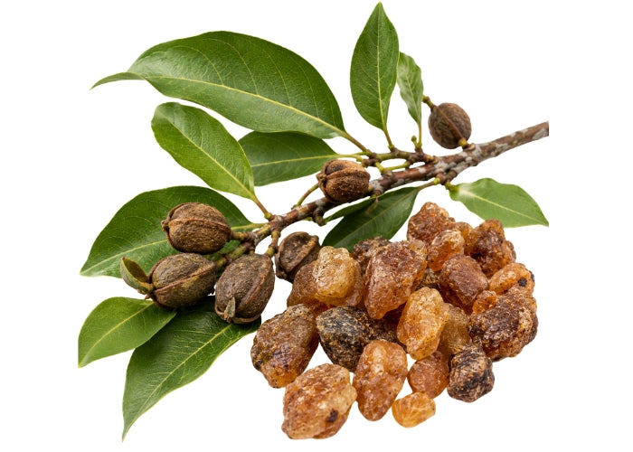 Balsam (Peru) Essential Oil