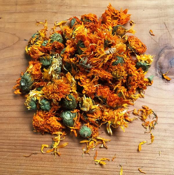 Calendula-flowers_RGIHPSNKFZV7.JPG