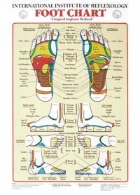 Reflexology Chart foot Only
