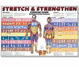 Stretch & Strengthen Chart
