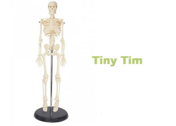 Skeleton 43cm Tiny Tim